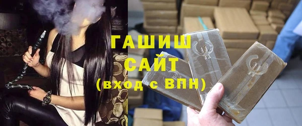 шишки Медвежьегорск
