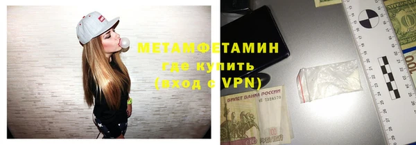 шишки Медвежьегорск