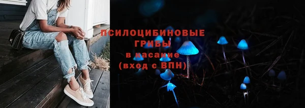 шишки Медвежьегорск