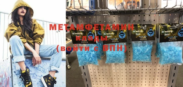шишки Медвежьегорск