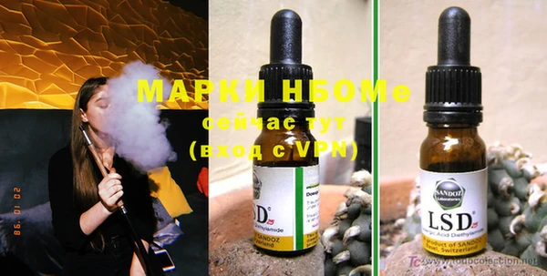 шишки Медвежьегорск