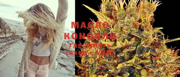 шишки Медвежьегорск