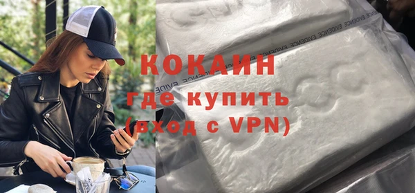 шишки Медвежьегорск