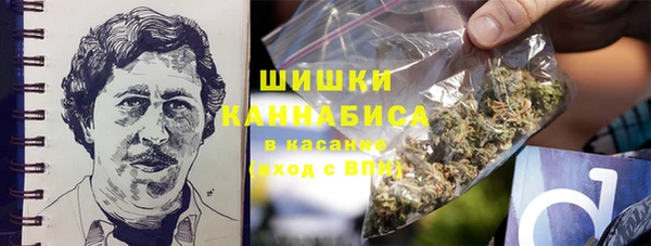 шишки Медвежьегорск