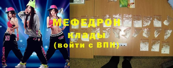 шишки Медвежьегорск