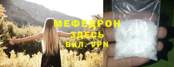 шишки Медвежьегорск