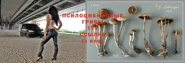 бошки Магадан