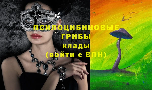 шишки Медвежьегорск